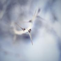 163_by_e4v.jpg