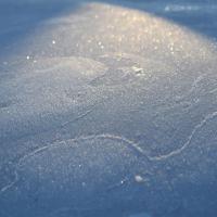 Blue_frost_by_ppaabblloo77.jpg