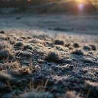 Early_Morning_by_Robert_Katzki.jpg