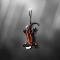 Salamander_by_Lucas_Romero_Di_Benedetto.jpg