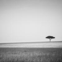 Savannah_Lilian_Blot_by_a_Blot_on_the_landscape.jpg