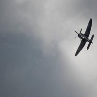 Sea_Fury_by_Ian_Worrall.jpg