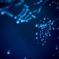 Water_web_by_Tom_Kijas.jpg