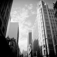 Grey_day_by_Drew__.jpg