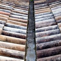 Roof_Tiles_by_Finn_Sturdy.jpg