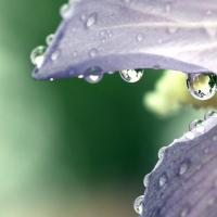 Tiny_Worlds_by_matthileo.jpg
