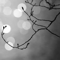 Touch_the_light_by_Matt_Katzenberger.jpg