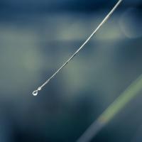 Trazo_solitario_by_Julio_Diliegros.jpg