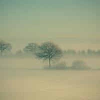 Winter_Fog_by_Daniel_Vesterskov.jpg