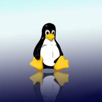 asri_tux_bleu_003.jpg